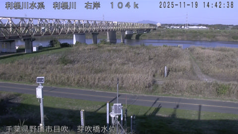 tonme2025111915_image