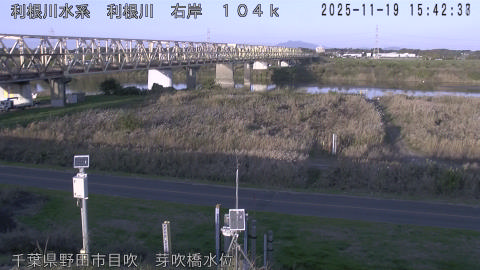 tonme2025111916_image