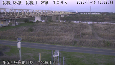 tonme2025111917_image