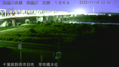 tonme2025111923_image