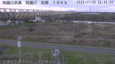 tonme2025112007_image