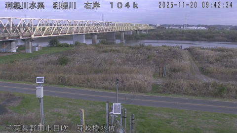 tonme2025112010_image