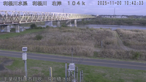 tonme2025112011_image