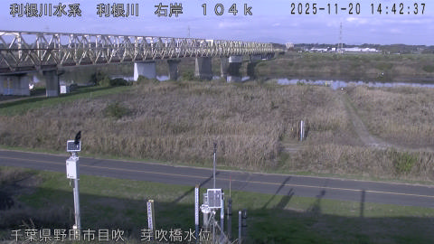 tonme2025112015_image