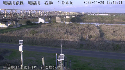 tonme2025112016_image