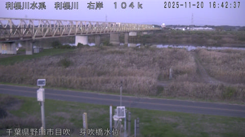 tonme2025112017_image