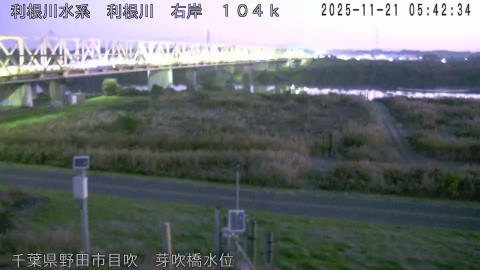 tonme2025112106_image