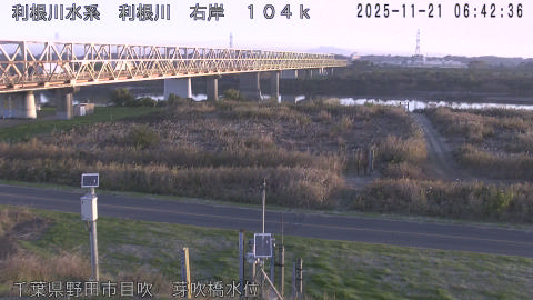 tonme2025112107_image