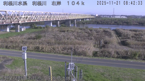 tonme2025112109_image