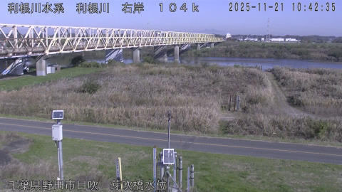 tonme2025112111_image