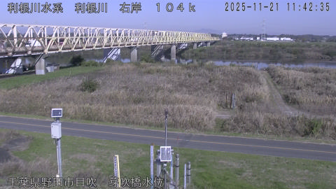 tonme2025112112_image