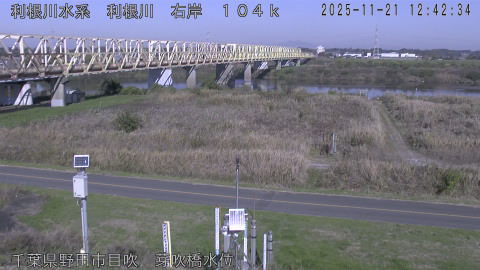 tonme2025112113_image