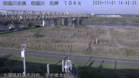 tonme2025112115_image