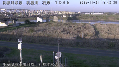 tonme2025112116_image