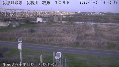 tonme2025112117_image