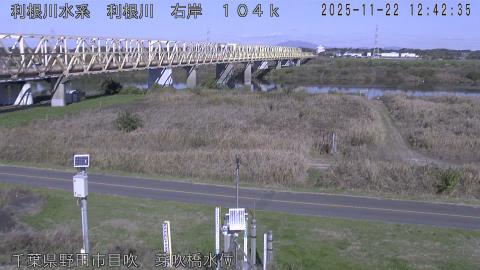 tonme2025112213_image