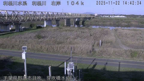 tonme2025112215_image