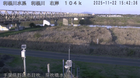 tonme2025112216_image