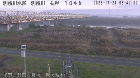 tonme2025112407_image