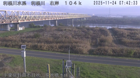 tonme2025112408_image