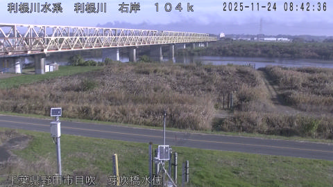 tonme2025112409_image