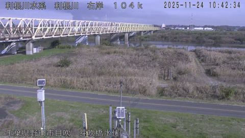 tonme2025112411_image