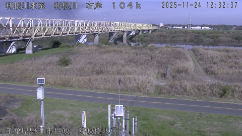 tonme2025112413_image