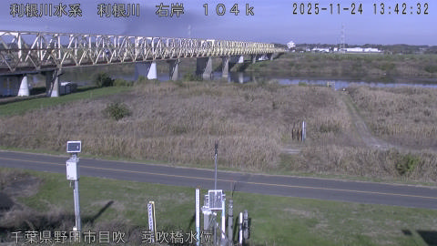 tonme2025112414_image