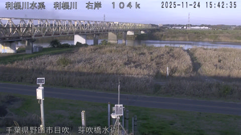 tonme2025112416_image