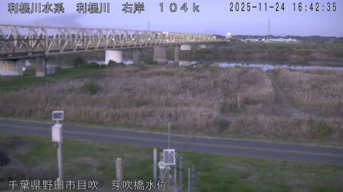 tonme2025112417_image