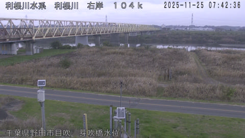 tonme2025112508_image