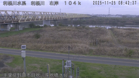 tonme2025112509_image