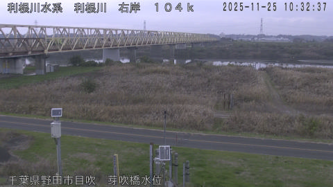 tonme2025112511_image