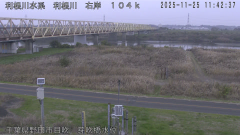 tonme2025112512_image