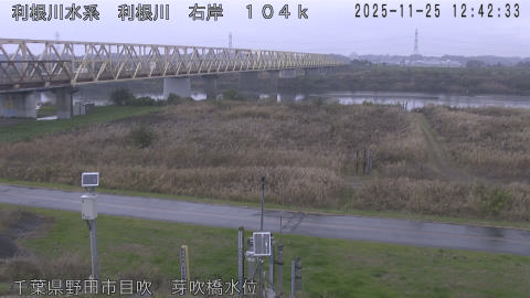 tonme2025112513_image