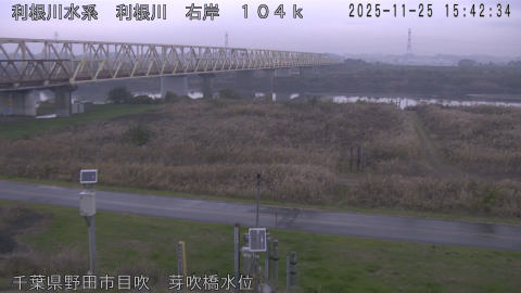 tonme2025112516_image