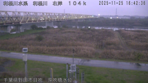 tonme2025112517_image