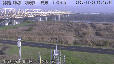 tonme2025112610_image