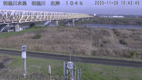 tonme2025112611_image