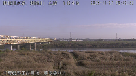 tonme2025112709_image