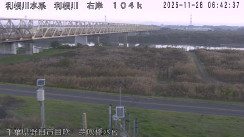 tonme2025112807_image