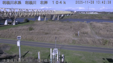 tonme2025112814_image