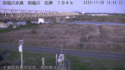 tonme2025112817_image