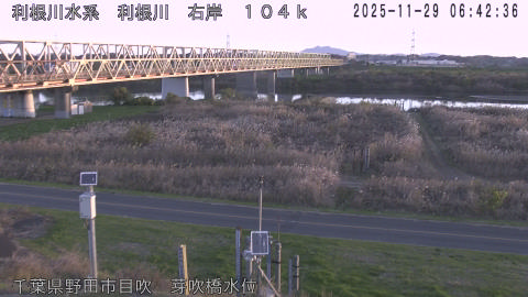 tonme2025112907_image