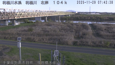 tonme2025112908_image