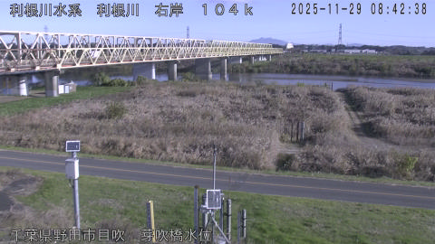 tonme2025112909_image