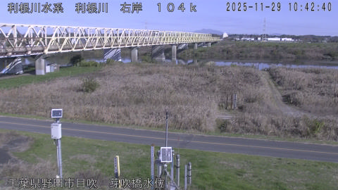 tonme2025112911_image