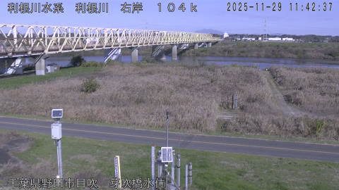 tonme2025112912_image