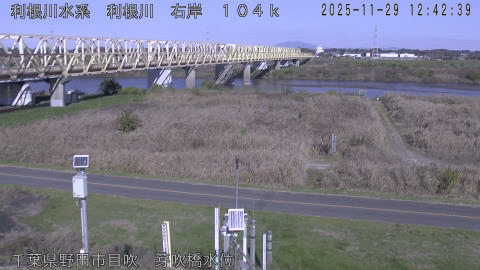 tonme2025112913_image