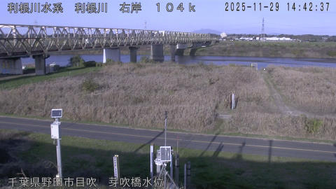 tonme2025112915_image